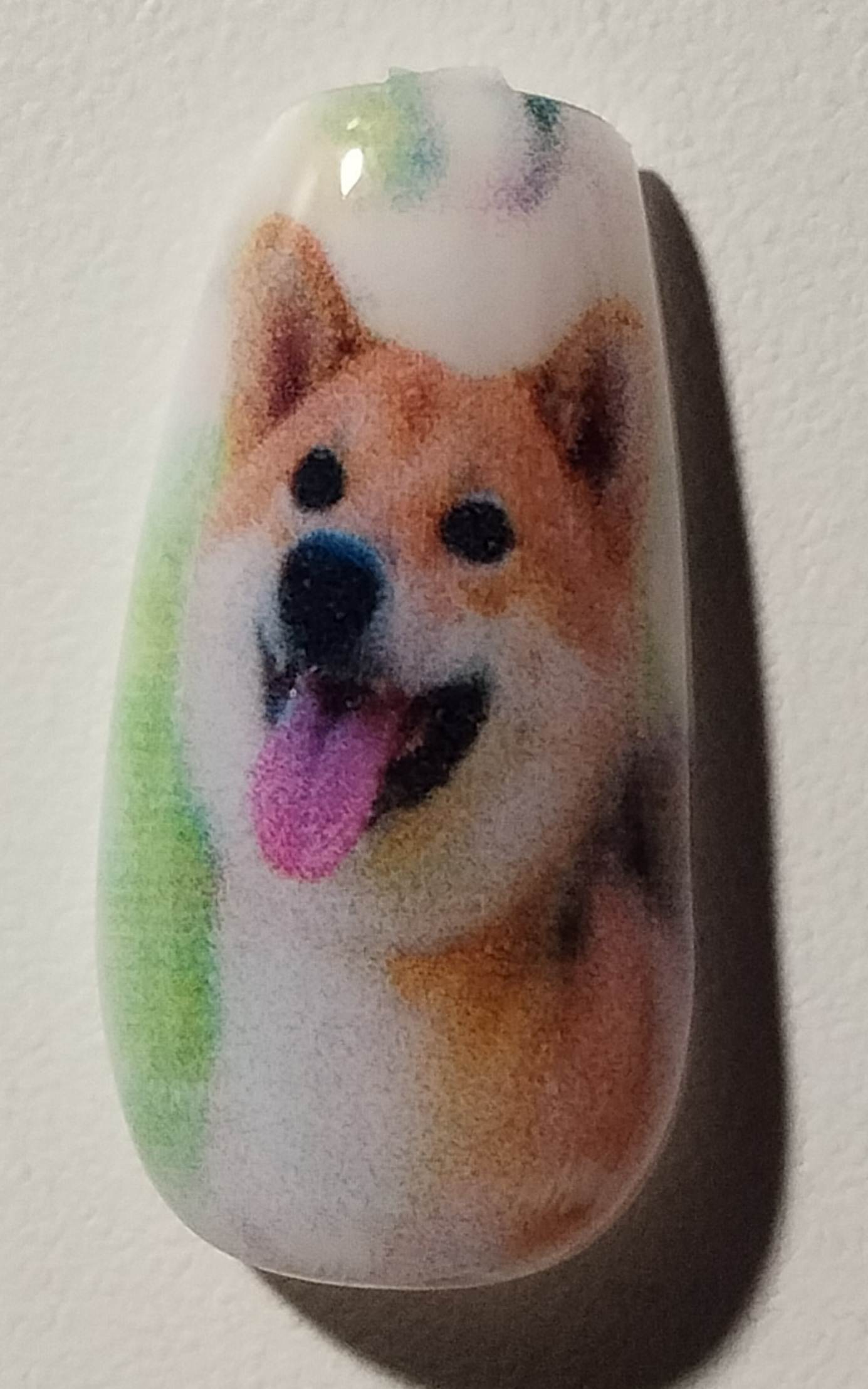 ペットのネイルアート